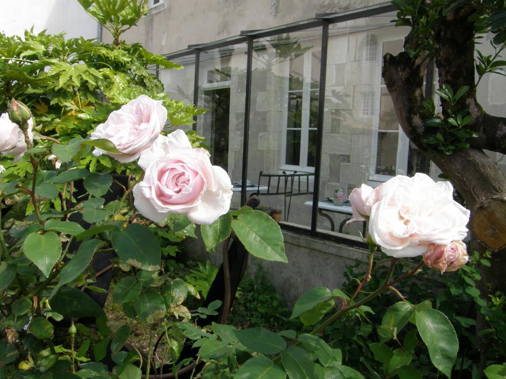 La Maison Douce Hotel Saint-Martin-de-Ré Eksteriør billede