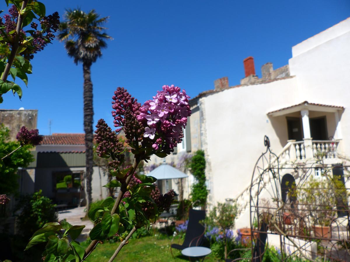 La Maison Douce Hotel Saint-Martin-de-Ré Eksteriør billede